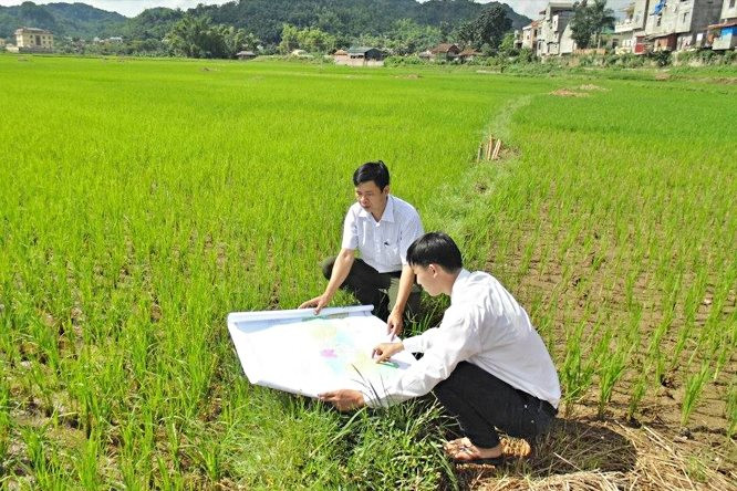 Phê duyệt Đề án Kiểm kê đất đai, lập bản đồ hiện trạng sử dụng đất năm 2024