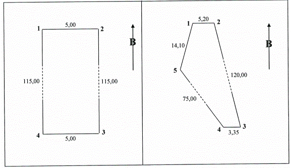 Parcel  diagram  with  length  significantly  larger  than  width  showing  ratio  difference  between  length  and  width