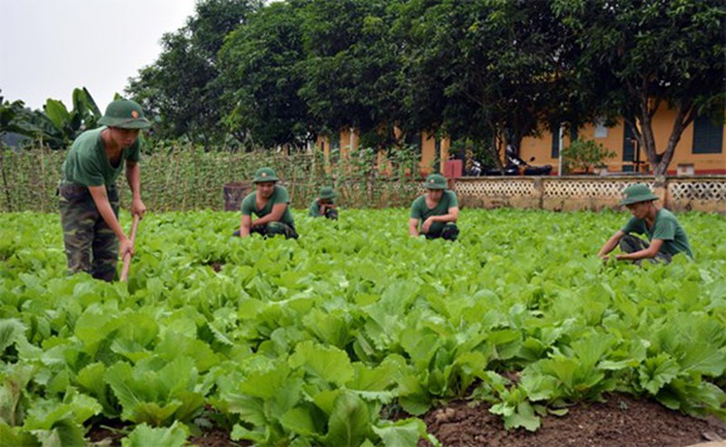 Case  of  not  paying  annual  land  levy  for  defense  and  security  land  combined  with  labor  and  production  activities