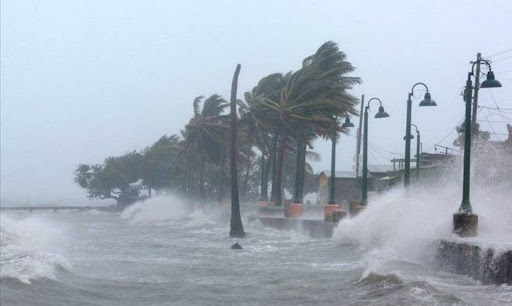 Types  of  Natural  Disasters  Forecasted,  Warned,  and  Transmitted