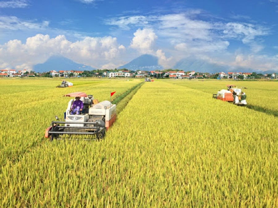 Investment    policy,    infrastructure    investment    support    for    high-quality    rice    cultivation    planning    areas