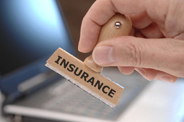 Regulations  and  Internal  Audit  Procedures  of  the  Insurer