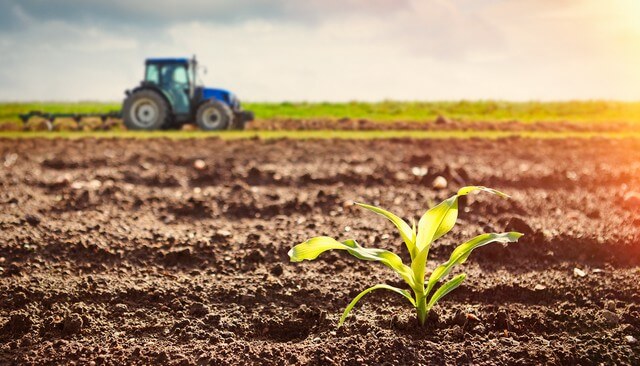 Regulations  on  construction  works  directly  serving  agricultural  production  on  rice  cultivation  land