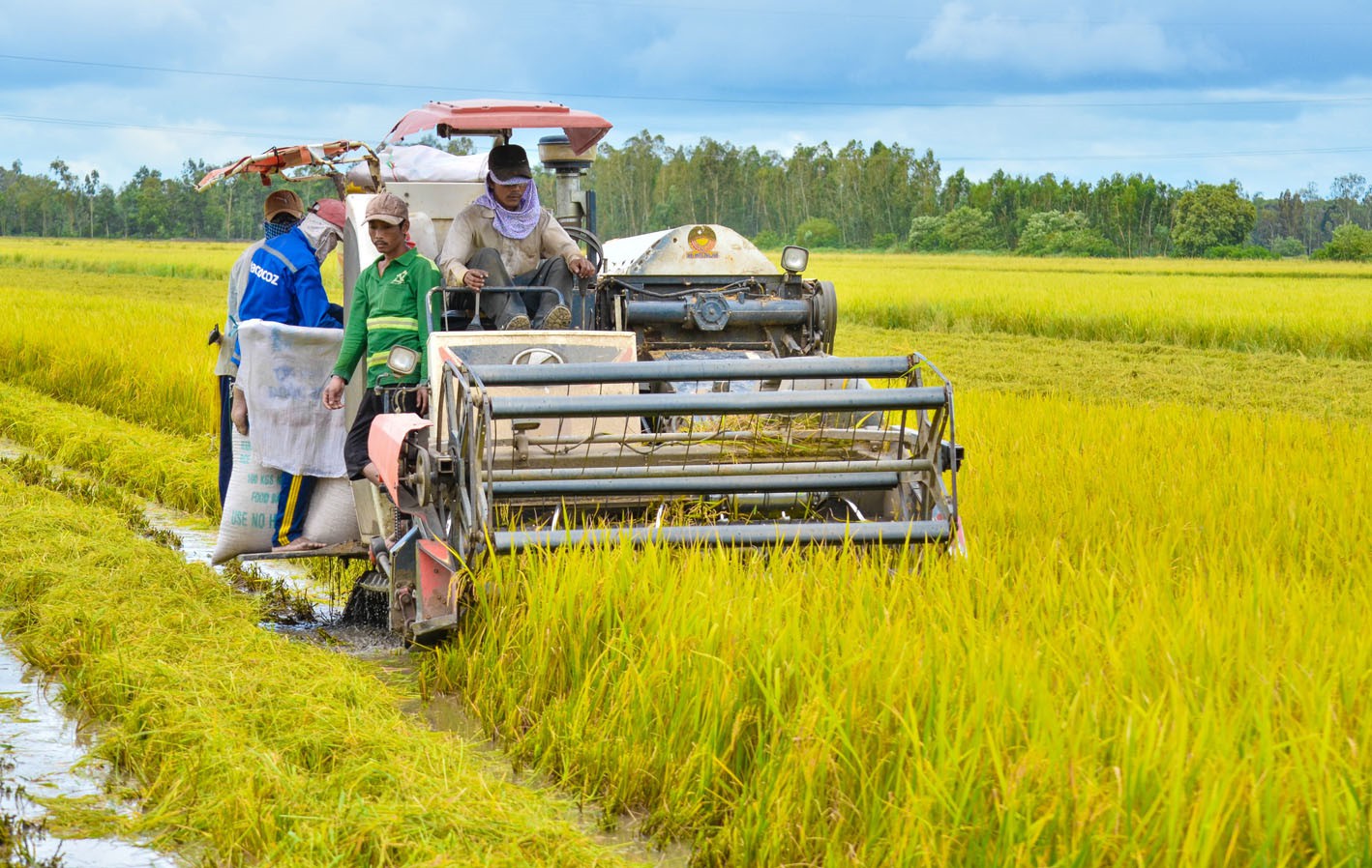 Thủ tục nộp tiền để nhà nước bổ sung diện tích đất chuyên trồng lúa bị mất hoặc tăng hiệu quả sử dụng đất trồng lúa