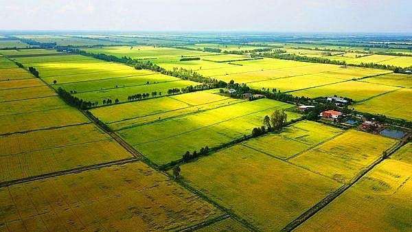 Procedure  for  Appraising  Topsoil  Utilization  Plans  for  Projects  with  Specialized  Rice-Growing  Land  Areas