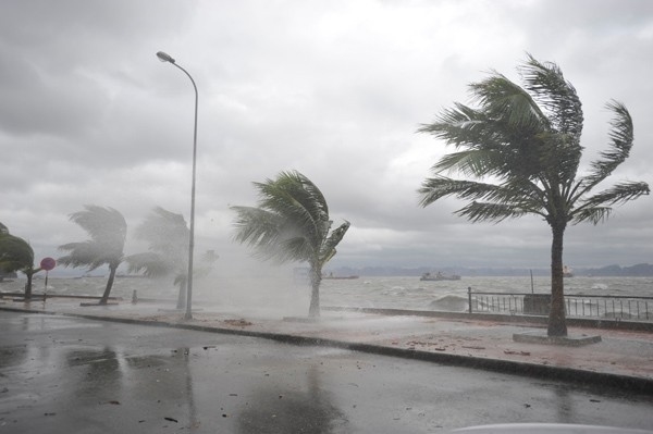 Focusing  on  responding  to  tropical  depressions  likely  to  turn  into  typhoons  and  floods