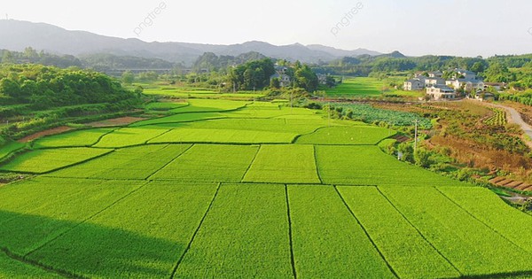 Căn cứ để giao đất, cho thuê đất, cho phép chuyển mục đích sử dụng đất mới nhất 