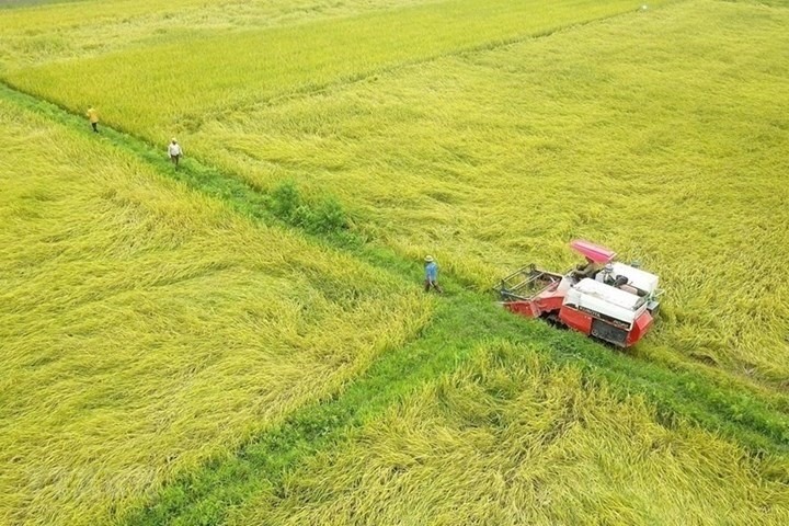 Criteria  and  conditions  for  converting  the  purpose  of  rice  cultivation  land  to  other  purposes