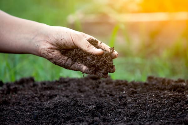 Scheme  for  Enhancing  Soil  Health  and  Managing  Crop  Nutrition  by  2030,  Vision  to  2050