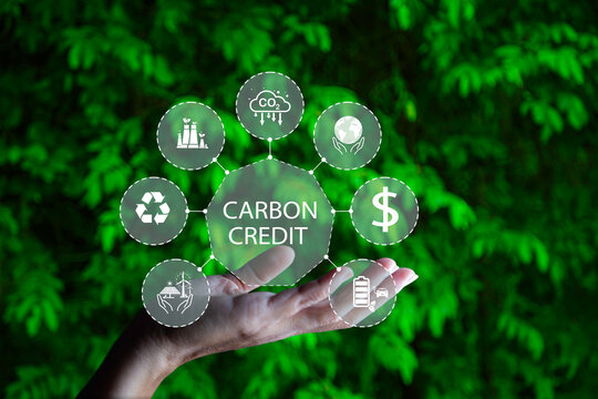 Research,  Develop,  and  Establish  a  Carbon  Credit  Exchange