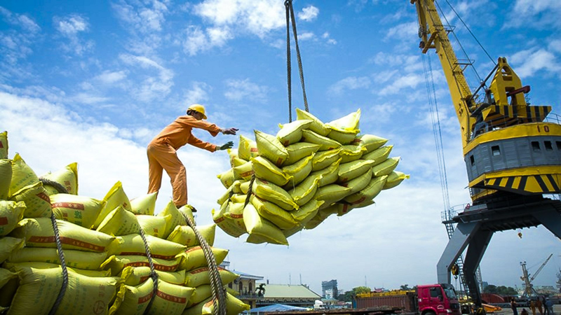 Rice  Export  Business  Rights  from  March  1,  2025